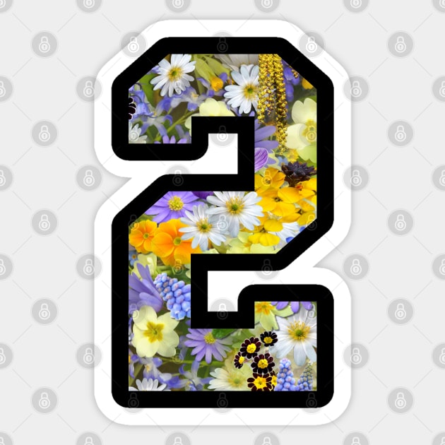 Floral Number 2 Sticker by Eric Okore